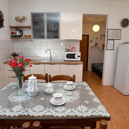 Apartamento Irena *