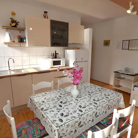 Apartamento Irena *