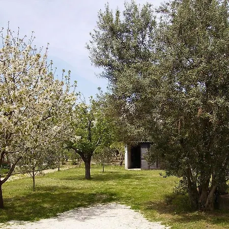 Irena Τρογκίρ
